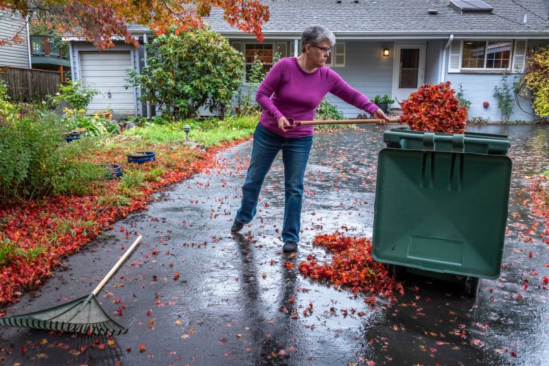 Clean Yard After Leaf Clearing