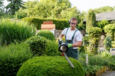Landscape Tree Maintenance